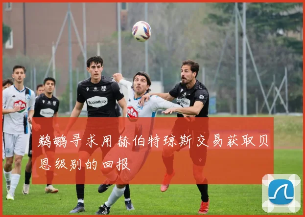 鹈鹕寻求用赫伯特琼斯交易获取贝恩级别的回报