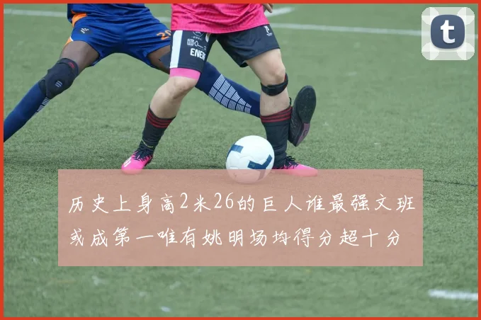 历史上身高2米26的巨人谁最强文班或成第一唯有姚明场均得分超十分