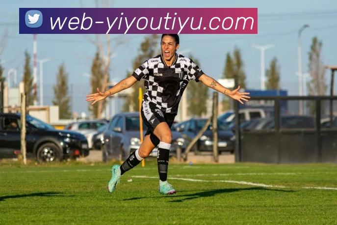 易游体育平台生态图